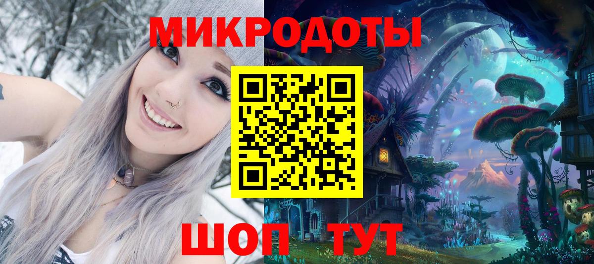 Псилоцибиновые грибы Psilocybe Татарск